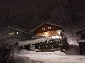 Гостиница DD Apartments Zell am See, Целль-Ам-Зее